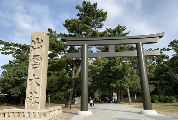 松の参道の写真・動画_image_322464