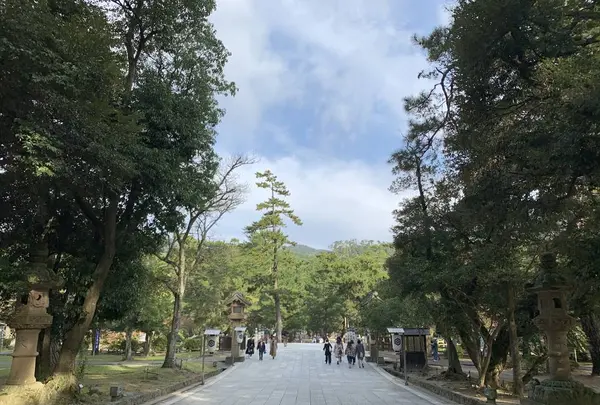 松の参道の写真・動画_image_322465