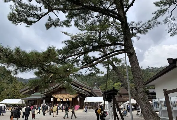 出雲大社の写真・動画_image_322482