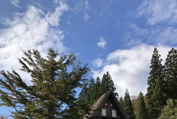 五箇山の写真・動画_image_322484