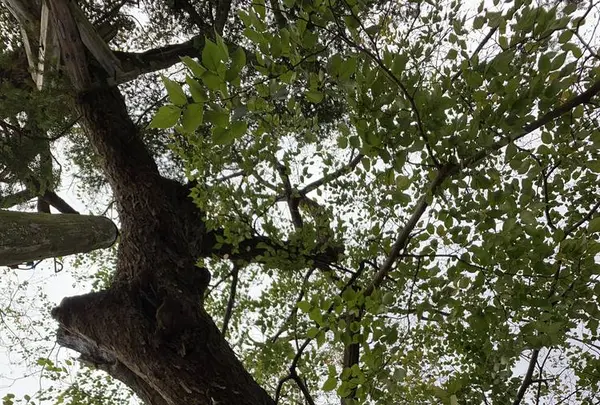 命主社の写真・動画_image_322495