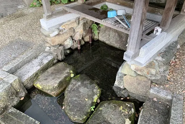 真名井の清水の写真・動画_image_322498