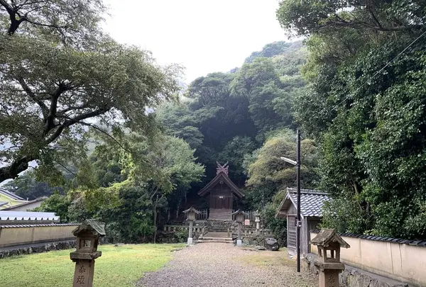 因佐神社の写真・動画_image_322505