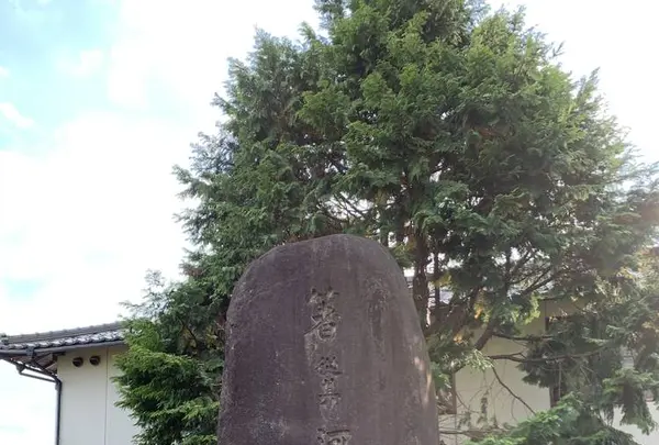八岐大蛇公園の写真・動画_image_322527