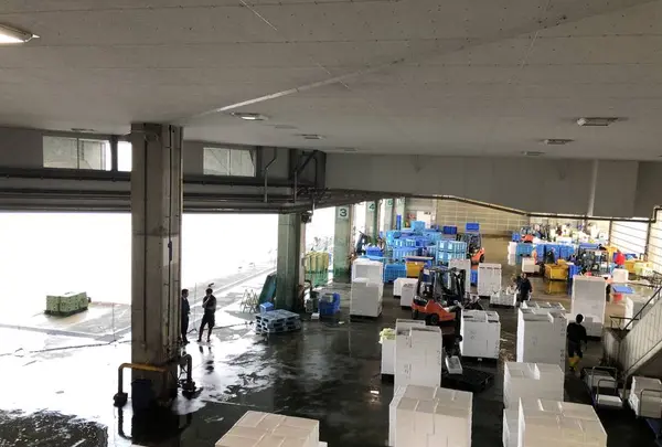 氷見 魚市場食堂 の写真・動画_image_322534