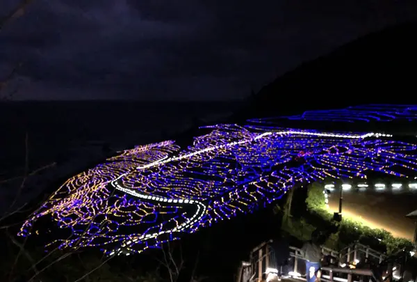 千枚田の写真・動画_image_322548