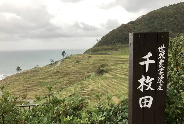 千枚田の写真・動画_image_322550