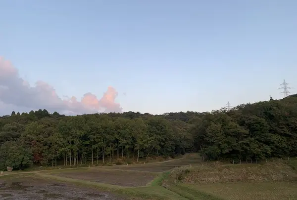 荒神谷遺跡の写真・動画_image_322556