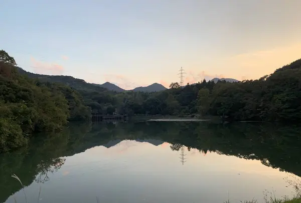 荒神谷遺跡の写真・動画_image_322557