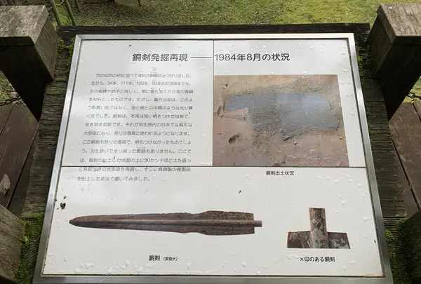 荒神谷遺跡の写真・動画_image_322558
