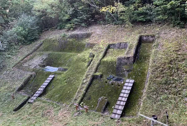 荒神谷遺跡の写真・動画_image_322562