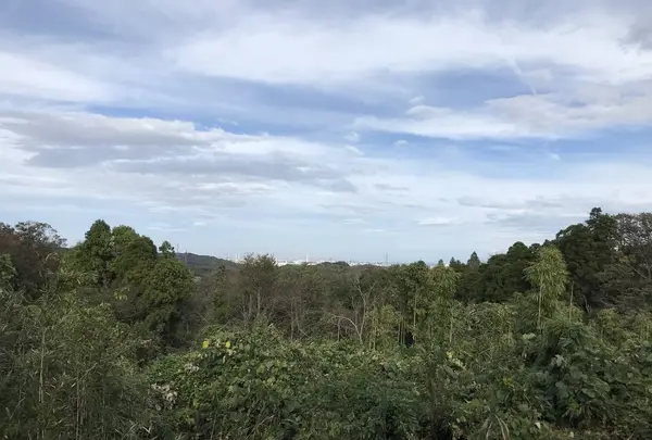 横浜自然観察の森の写真・動画_image_322792