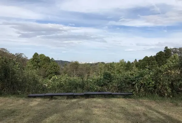 横浜自然観察の森の写真・動画_image_322793