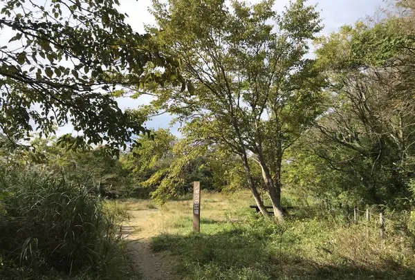 横浜自然観察の森の写真・動画_image_322795
