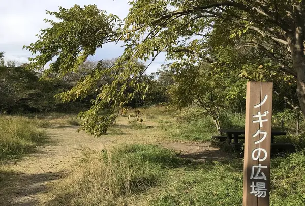 横浜自然観察の森の写真・動画_image_322796
