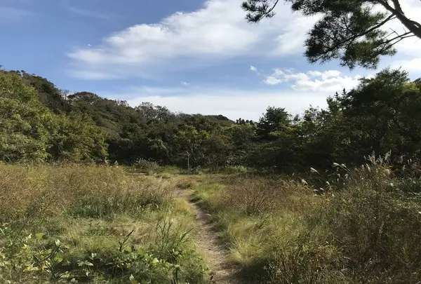横浜自然観察の森の写真・動画_image_322797
