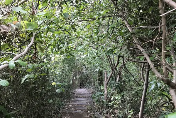 横浜自然観察の森の写真・動画_image_322799