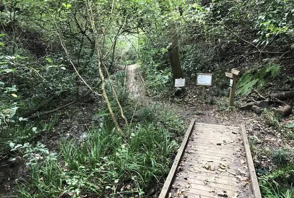 横浜自然観察の森の写真・動画_image_322800