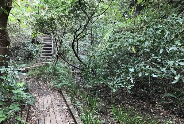 横浜自然観察の森の写真・動画_image_322803