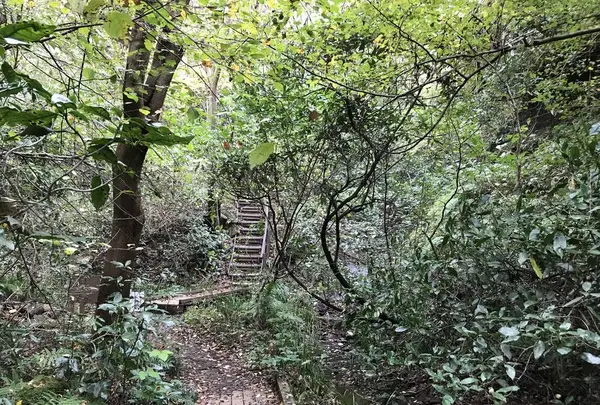 横浜自然観察の森の写真・動画_image_322804