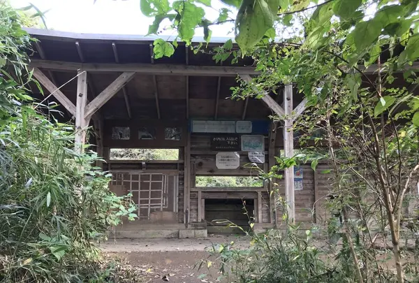 横浜自然観察の森の写真・動画_image_322810