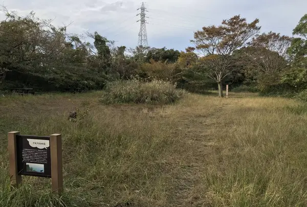 横浜自然観察の森の写真・動画_image_322813