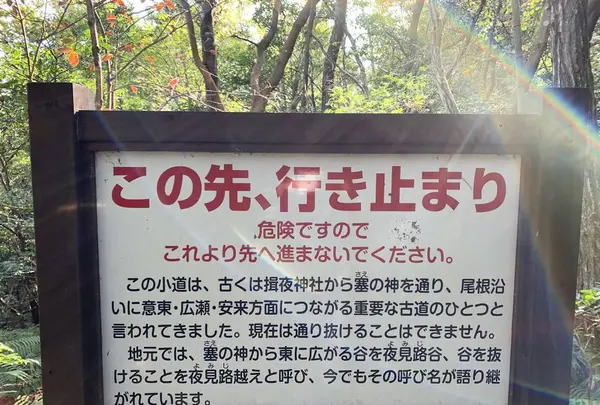 黄泉比良坂の写真・動画_image_323203