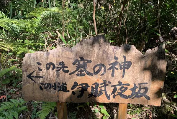 黄泉比良坂の写真・動画_image_323204