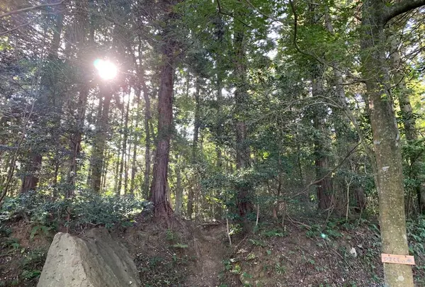 黄泉比良坂の写真・動画_image_323207