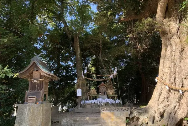揖夜神社の写真・動画_image_323213