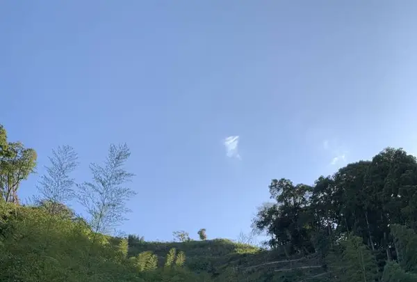 月山富田城跡の写真・動画_image_323256