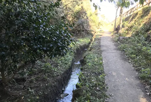 横浜自然観察の森の写真・動画_image_323294