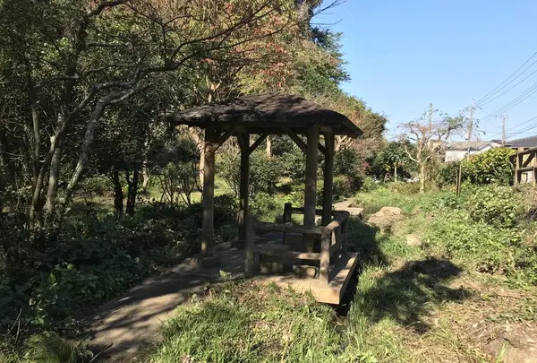 横浜自然観察の森の写真・動画_image_323295