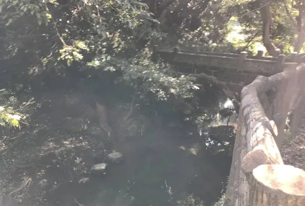 横浜自然観察の森の写真・動画_image_323297