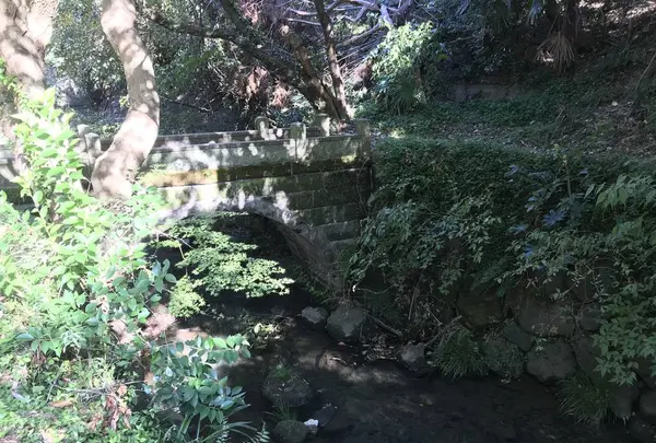 横浜自然観察の森の写真・動画_image_323298