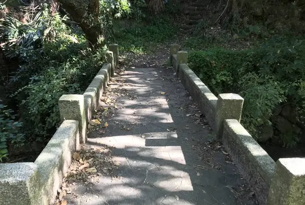 横浜自然観察の森の写真・動画_image_323302