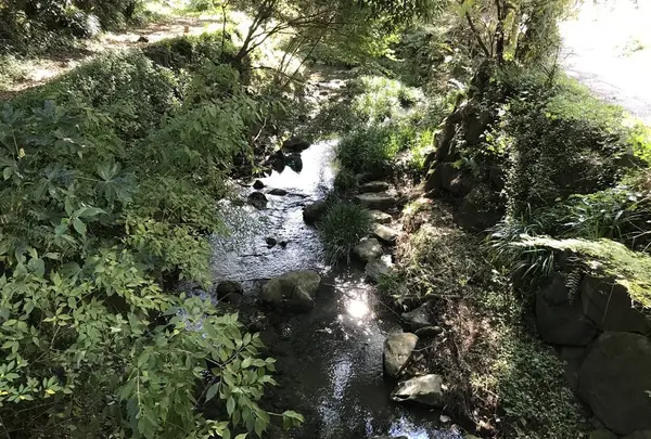 横浜自然観察の森の写真・動画_image_323303