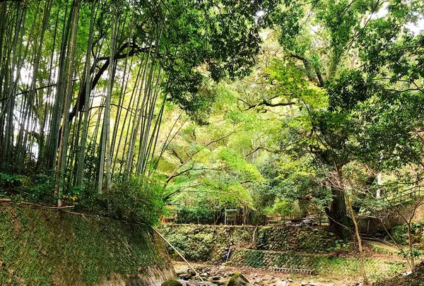 万葉公園の写真・動画_image_323421