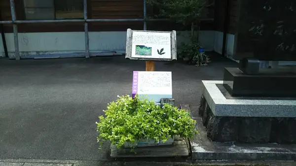 道の駅 杉原紙の里・多可の写真・動画_image_323455