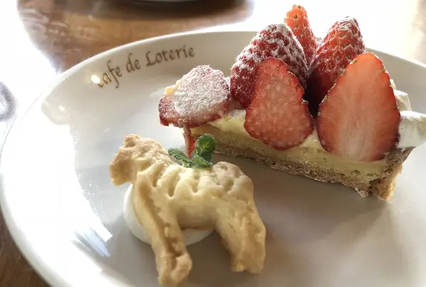 BAKESHOP LOTERIEの写真・動画_image_323545