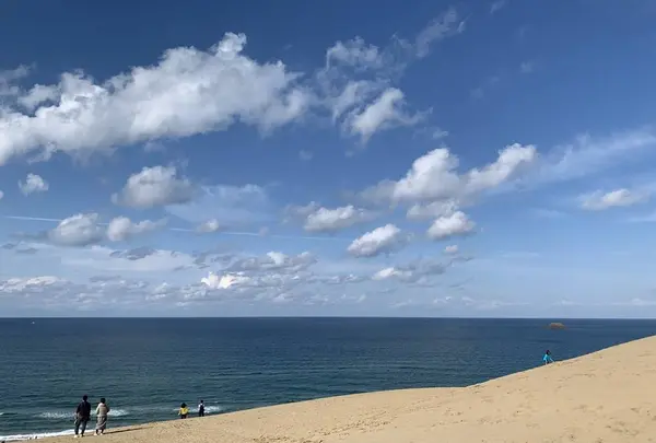 鳥取砂丘の写真・動画_image_323689