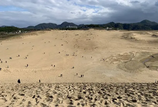 鳥取砂丘の写真・動画_image_323692