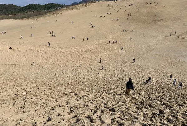 鳥取砂丘の写真・動画_image_323695