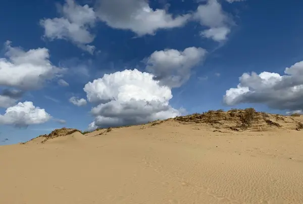鳥取砂丘の写真・動画_image_323696