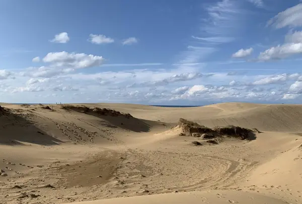 鳥取砂丘の写真・動画_image_323697