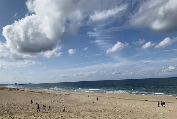 鳥取砂丘の写真・動画_image_323698