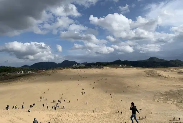 鳥取砂丘の写真・動画_image_323699