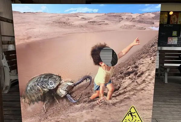 鳥取砂丘の写真・動画_image_323700