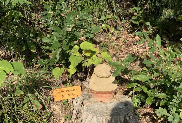 砂の美術館の写真・動画_image_323738