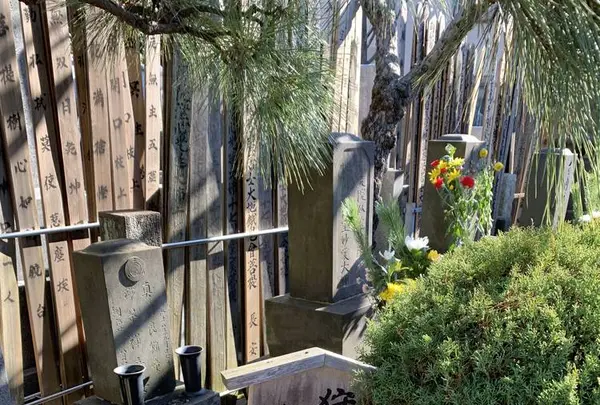 長安寺の写真・動画_image_323822